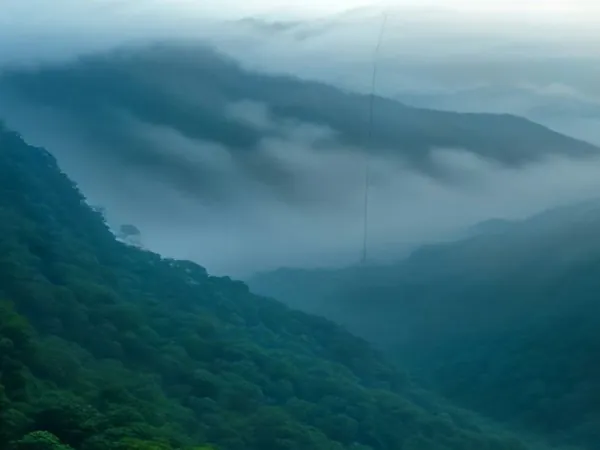 A misty cloud forest valley seen from above