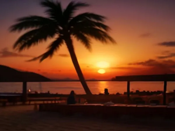 A palm tree silhouetted against an orange sunset over a beachside dining terrace