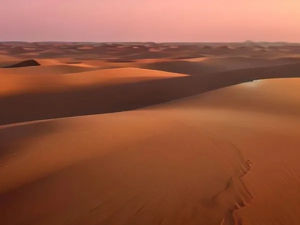 Orange sand dunes under a pink evening sky